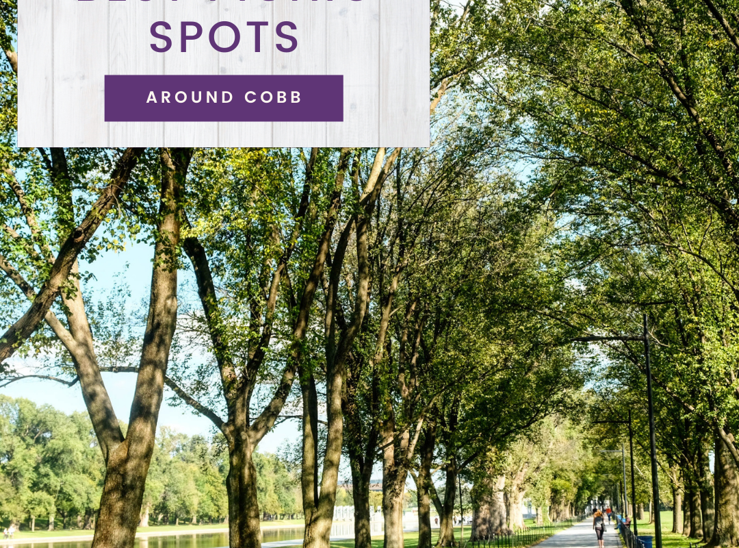 Best Picnic Spots Around Cobb